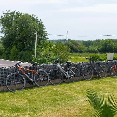Villa Amazing In Linjan With Wifi And 4 Bedrooms Ližnjan